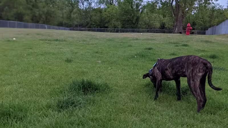Sauk Centre Dog Park - Sauk Centre, MN
