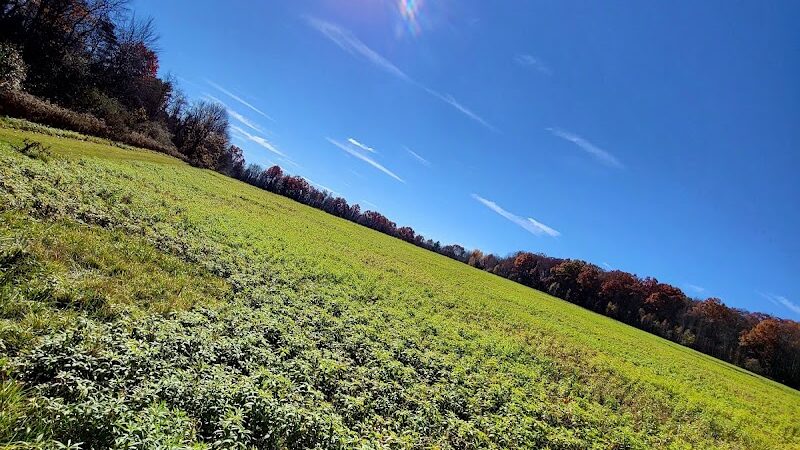 West End Regional Park - Saylorsburg, PA