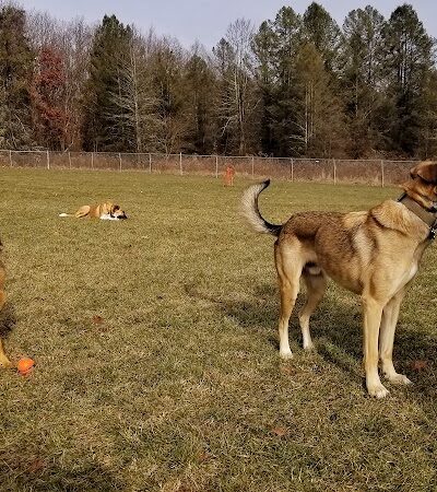 West End Regional Park - Saylorsburg, PA
