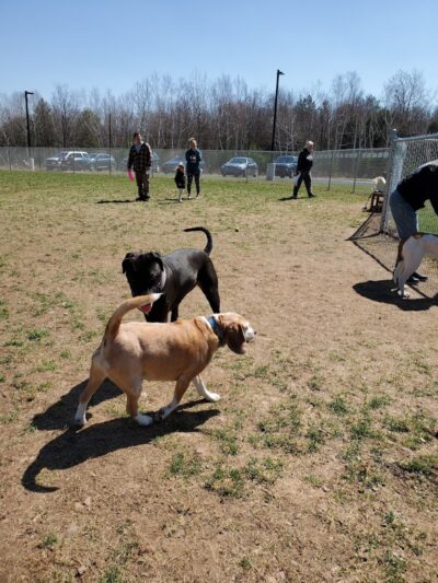 West End Regional Park - Saylorsburg, PA