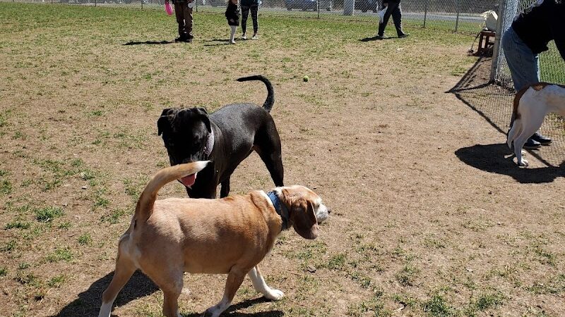 West End Regional Park - Saylorsburg, PA