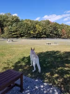 West End Regional Park - Saylorsburg, PA