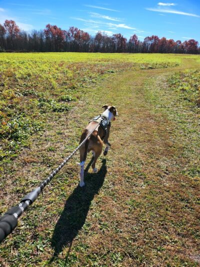 West End Regional Park - Saylorsburg, PA