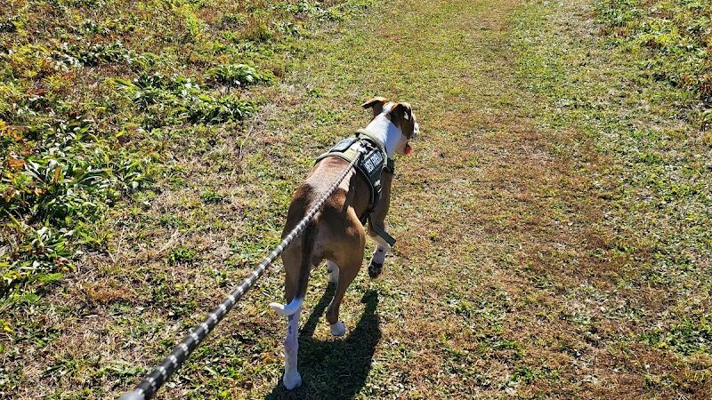 West End Regional Park - Saylorsburg, PA