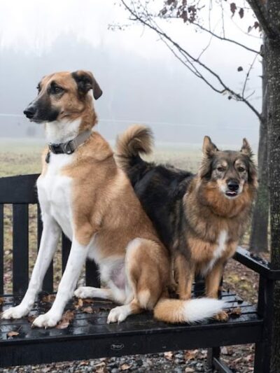 West End Regional Park - Saylorsburg, PA