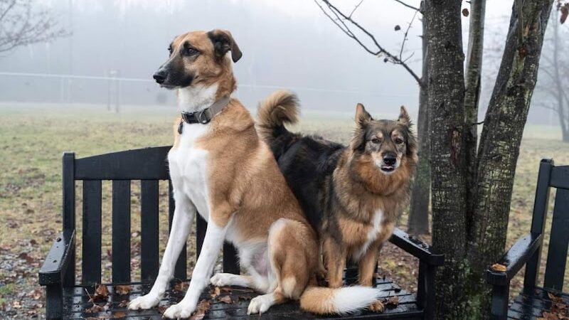 West End Regional Park - Saylorsburg, PA