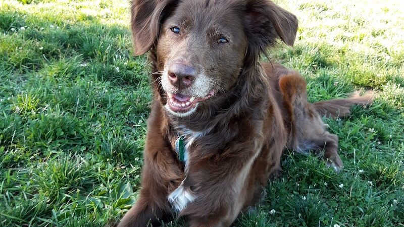 West End Regional Park - Saylorsburg, PA