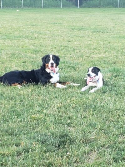 West End Regional Park - Saylorsburg, PA