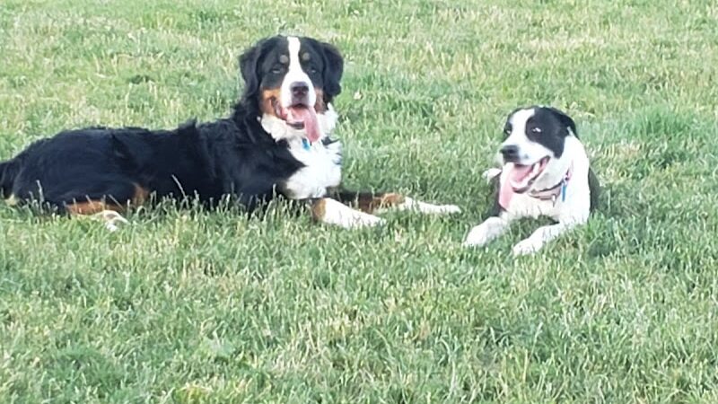 West End Regional Park - Saylorsburg, PA