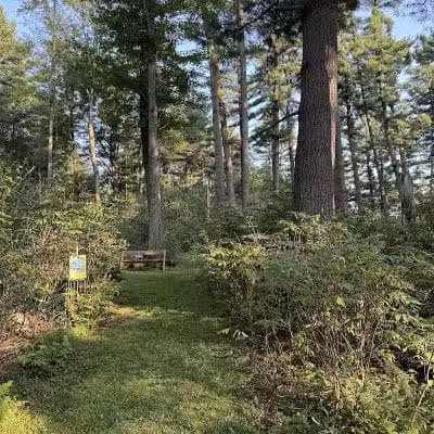 Jorgens Park Preserve - Scandinavia, WI