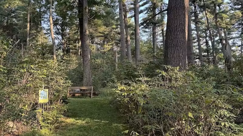 Jorgens Park Preserve - Scandinavia, WI