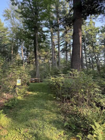 Jorgens Park Preserve - Scandinavia, WI