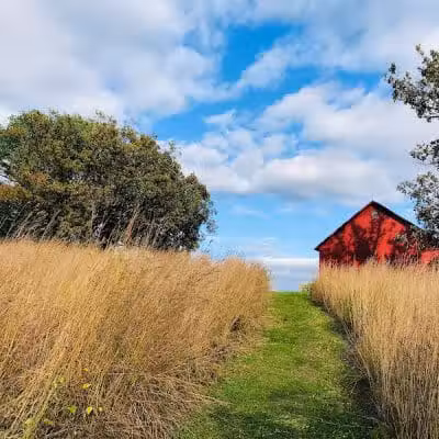 Jorgens Park Preserve - Scandinavia, WI