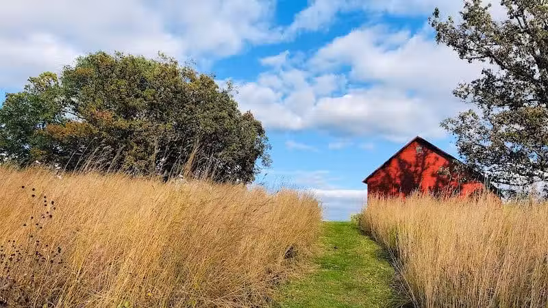 Jorgens Park Preserve - Scandinavia, WI