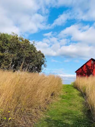 Jorgens Park Preserve - Scandinavia, WI