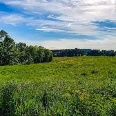 Jorgens Park Preserve - Scandinavia, WI