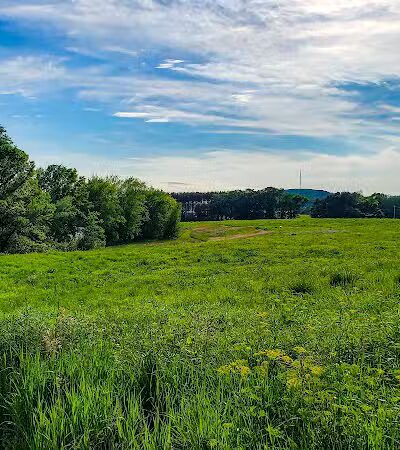 Jorgens Park Preserve - Scandinavia, WI