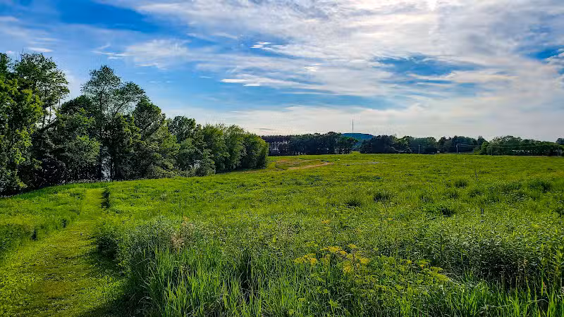 Jorgens Park Preserve - Scandinavia, WI