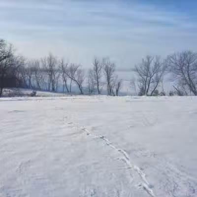 Jorgens Park Preserve - Scandinavia, WI