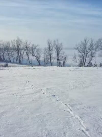 Jorgens Park Preserve - Scandinavia, WI