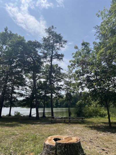 Shawnee State Park - Beach House - Schellsburg, PA