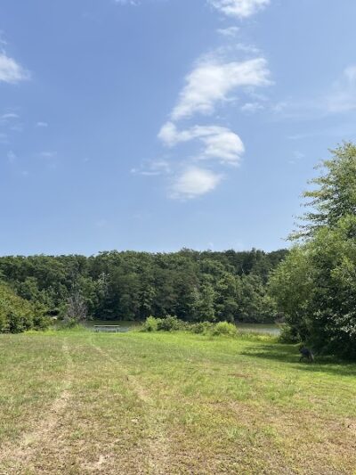 Shawnee State Park - Beach House - Schellsburg, PA