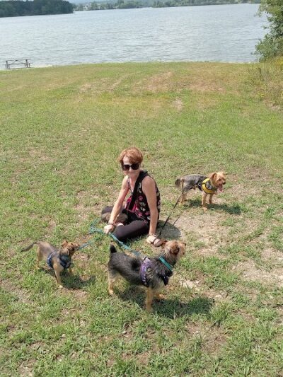 Shawnee State Park - Beach House - Schellsburg, PA