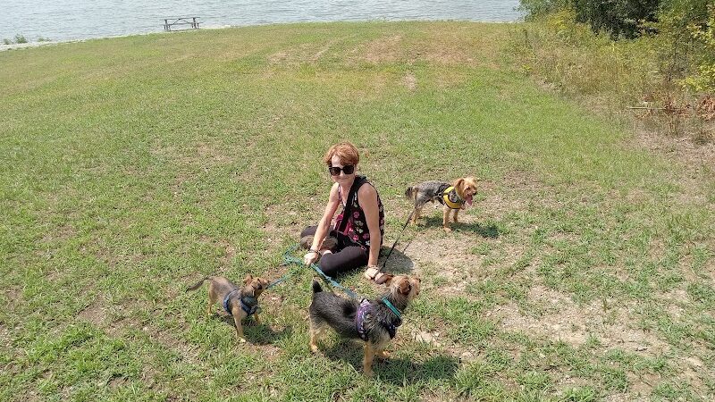Shawnee State Park - Beach House - Schellsburg, PA