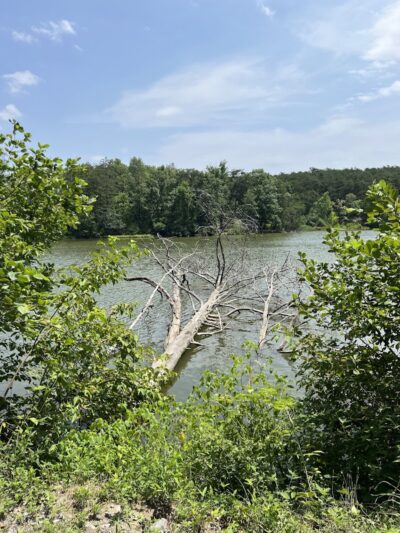 Shawnee State Park - Beach House - Schellsburg, PA