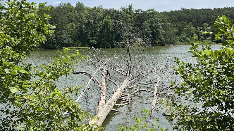 Shawnee State Park - Beach House - Schellsburg, PA