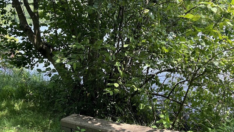 Shawnee State Park - Beach House - Schellsburg, PA