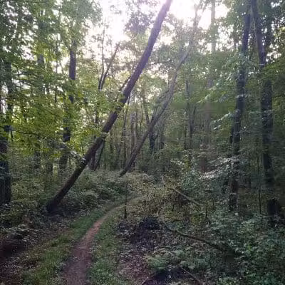 DiCaprio Park - Schenectady, NY