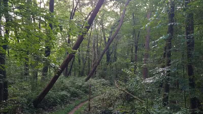 DiCaprio Park - Schenectady, NY