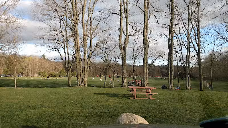 DiCaprio Park - Schenectady, NY
