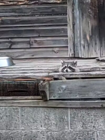 Schenevus Lake Park - Schenevus, NY