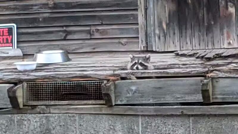 Schenevus Lake Park - Schenevus, NY