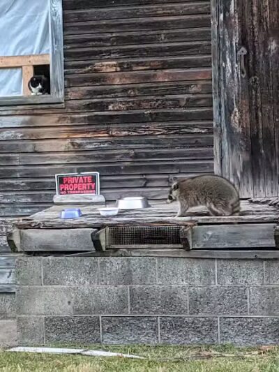 Schenevus Lake Park - Schenevus, NY