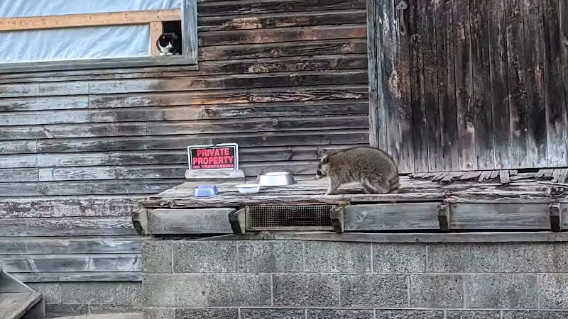 Schenevus Lake Park - Schenevus, NY