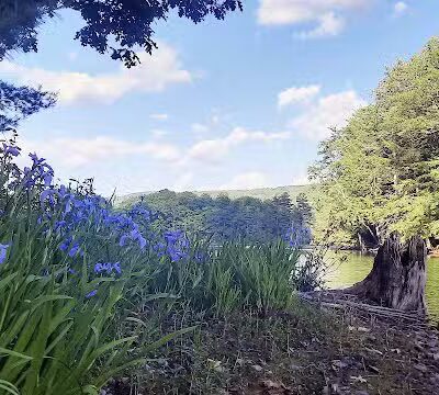 Schenevus Lake Park - Schenevus, NY