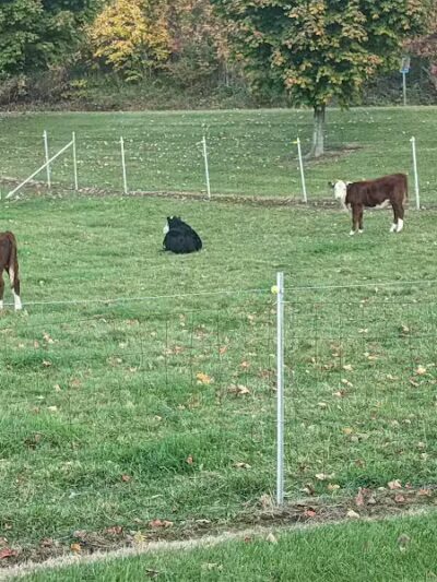 Schenevus Lake Park - Schenevus, NY
