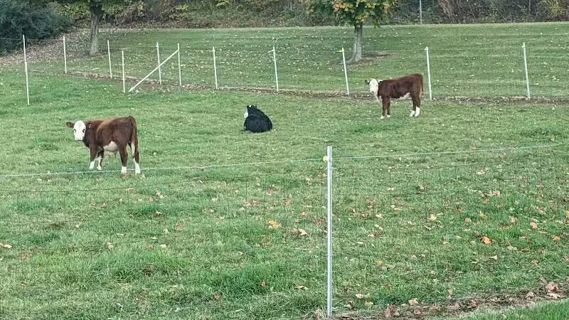 Schenevus Lake Park - Schenevus, NY