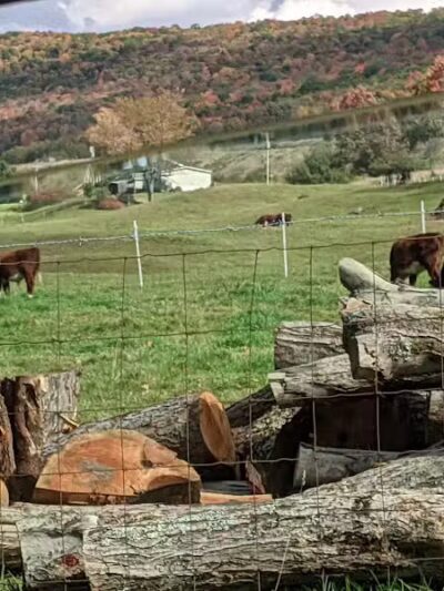 Schenevus Lake Park - Schenevus, NY