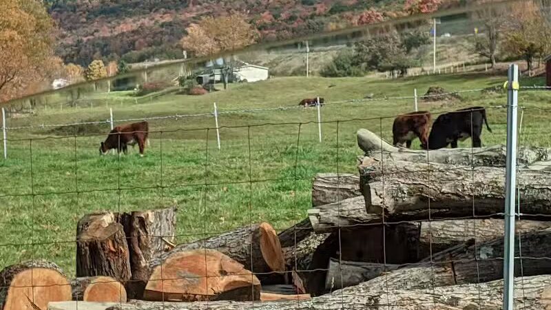Schenevus Lake Park - Schenevus, NY
