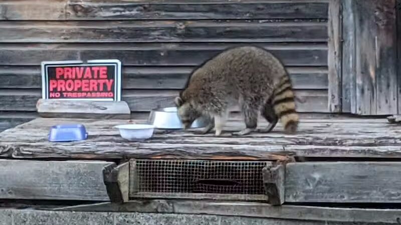 Schenevus Lake Park - Schenevus, NY