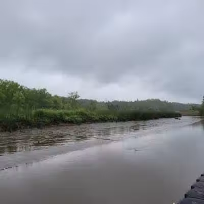 Schodack Island State Park - Schodack Landing, NY