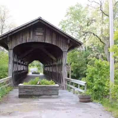 Lily Park - Schoharie, NY