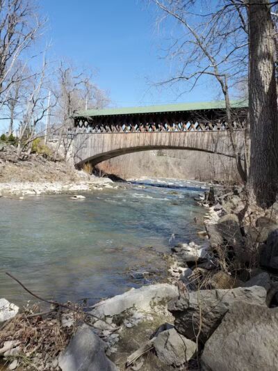Lily Park - Schoharie, NY