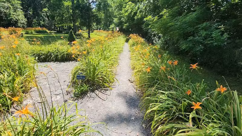 Lily Park - Schoharie, NY