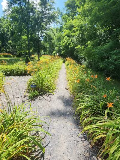Lily Park - Schoharie, NY