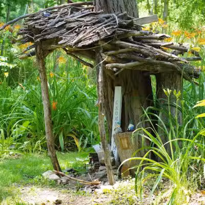 Lily Park - Schoharie, NY